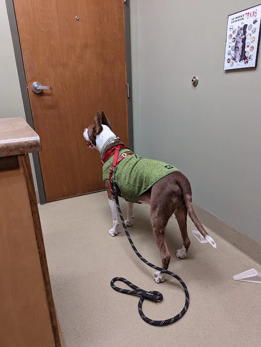 Animal Emergency Clinic of the High Country 9