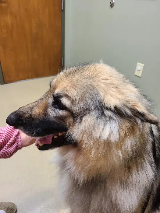 Pet Care Clinic of the High Country 3