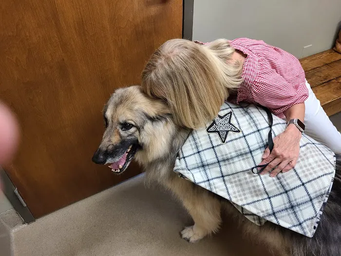 Pet Care Clinic of the High Country 4