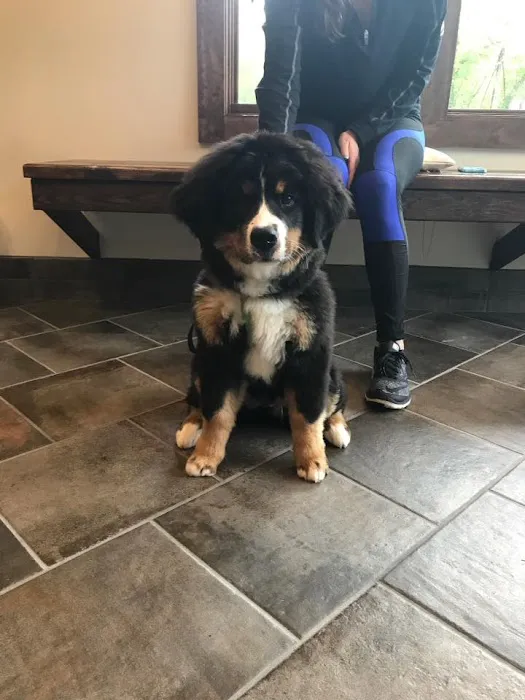 Pet Care Clinic of the High Country 5