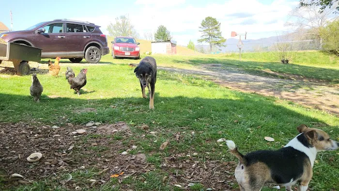 Appalachian Animal Hospital 6