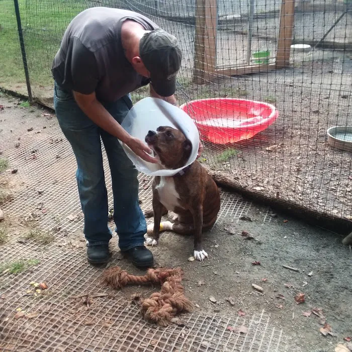 Appalachian Animal Hospital 9