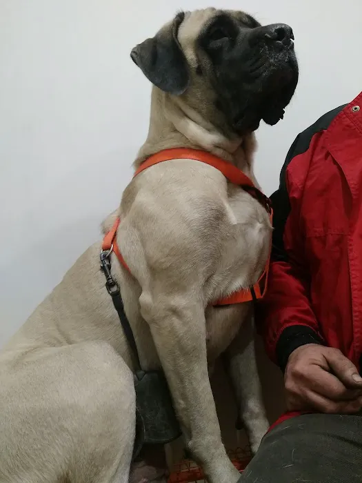 Appalachian Animal Hospital 2