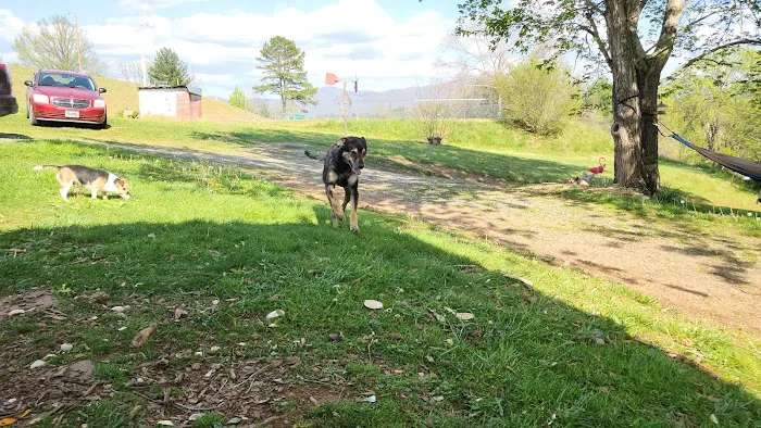 Appalachian Animal Hospital 10