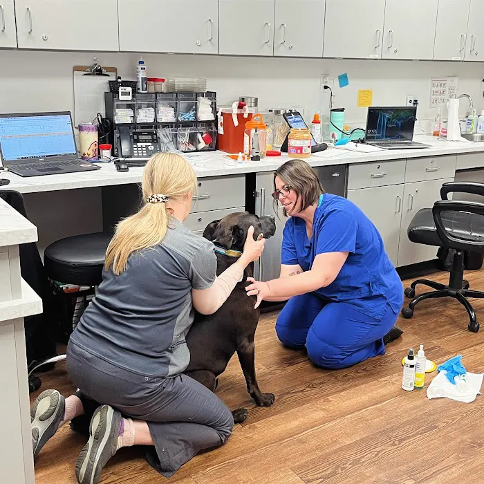 PetVet Vaccination Clinic 6