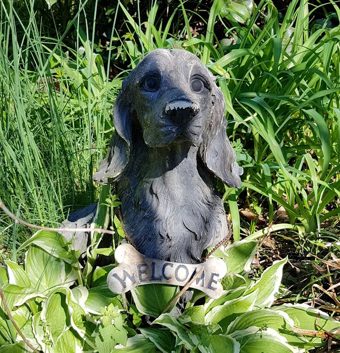 Allen Animal Hospital 9