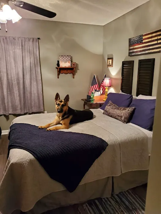 Allen Animal Hospital 6
