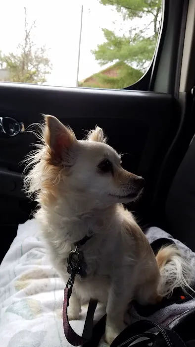 Mountain Animal Hospital 4