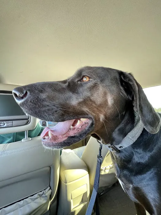 Rocky Top Veterinary Hospital 9