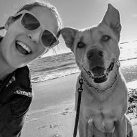 The Animal Hospital at Reems Creek ico