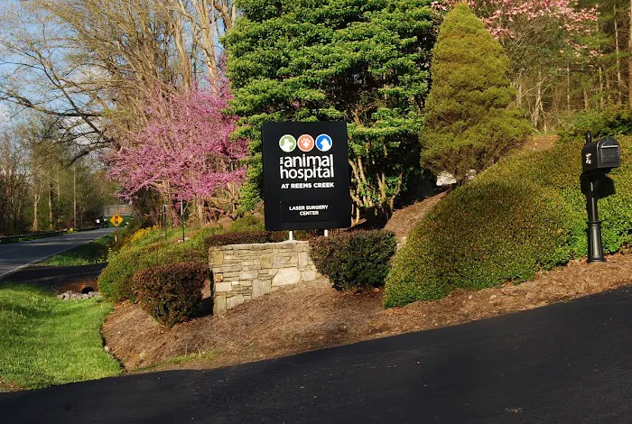 The Animal Hospital at Reems Creek 2