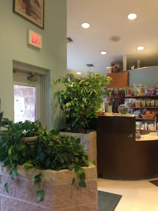 All Pets Animal Hospital & Rehabilitation Center 6