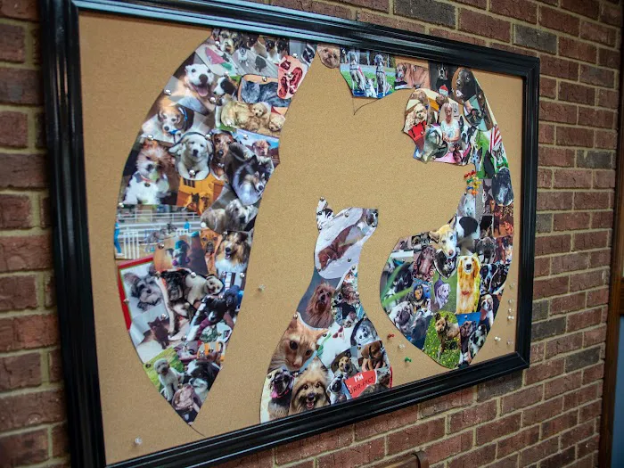 Pinecrest Veterinary Clinic 10