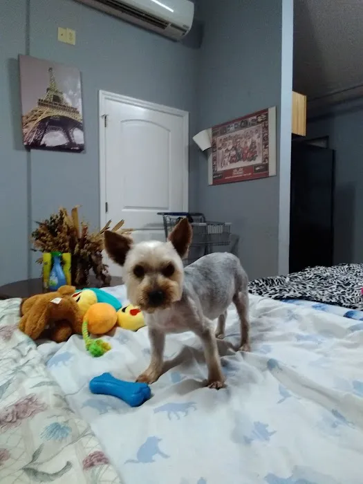 Young's Animal Hospital 9