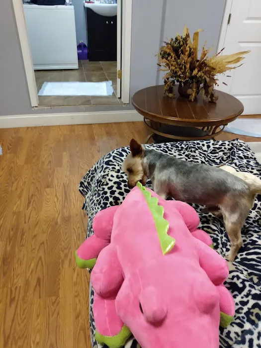 Young's Animal Hospital 4