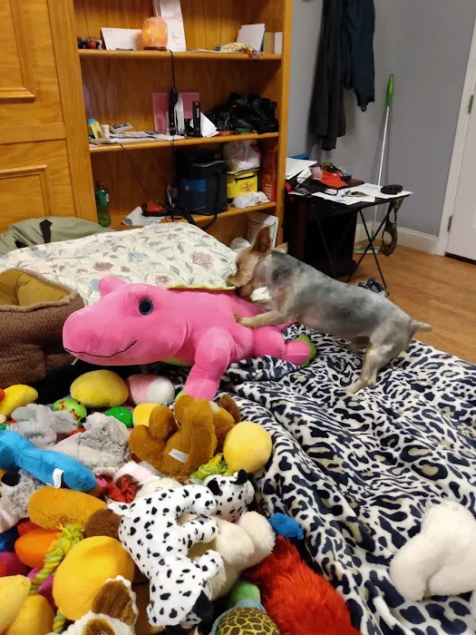 Young's Animal Hospital 5