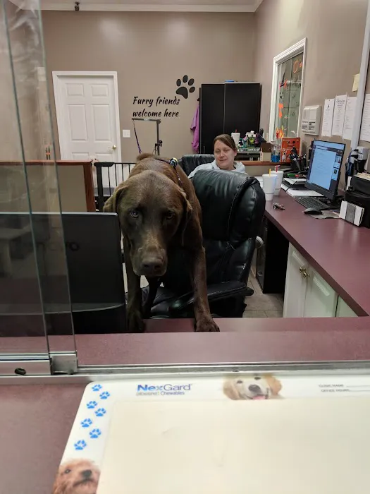 Blue Ridge Animal Hospital 4