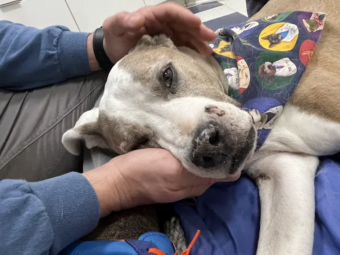 Robinson Animal Hospital 7