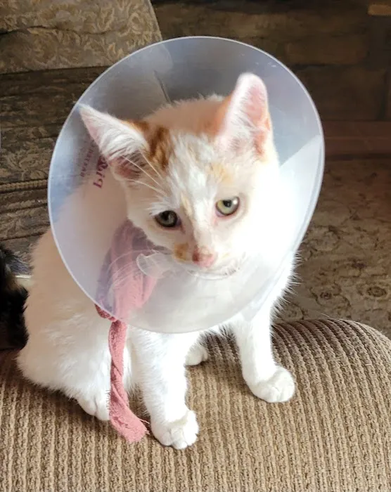 Robinson Animal Hospital 9