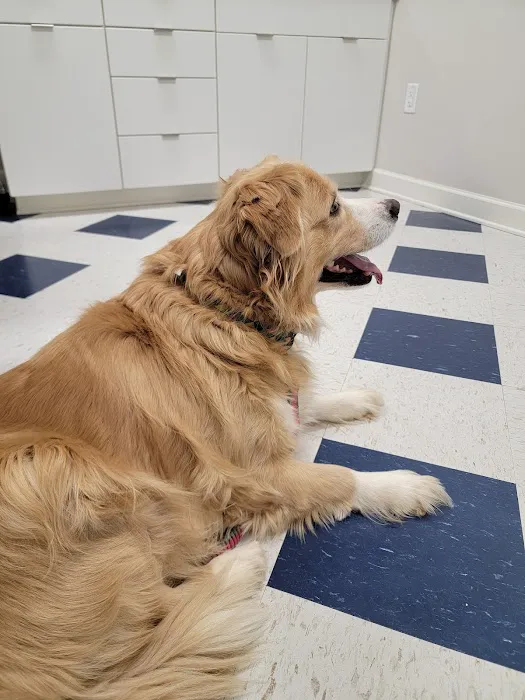 Robinson Animal Hospital 1