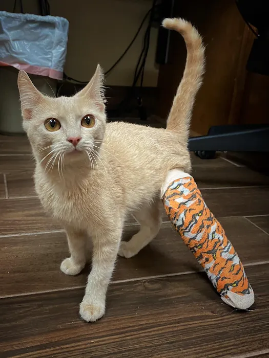 Raleigh Bartlett Animal Hospital 9