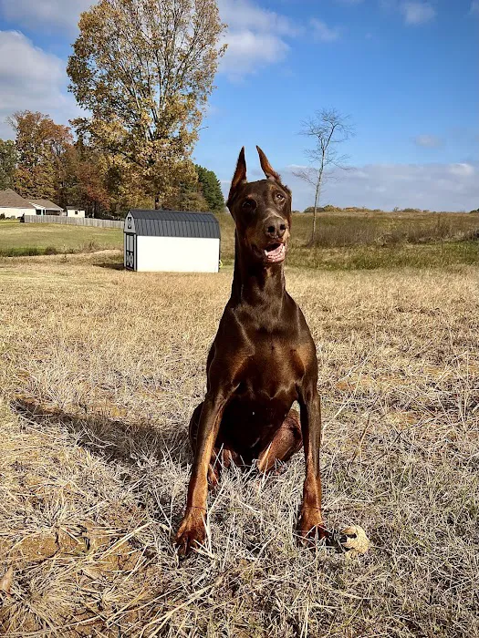 Raleigh Bartlett Animal Hospital 4