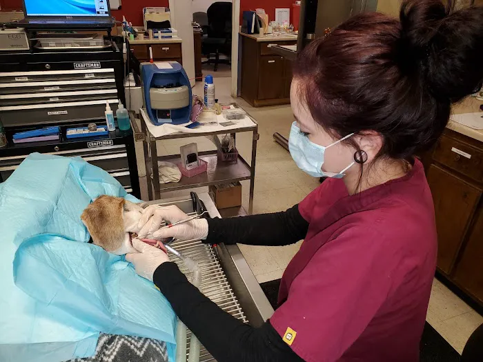 Animal Dental Care Specialists 2