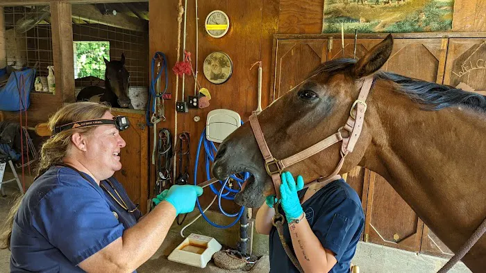 Dunlap Equine Services 2