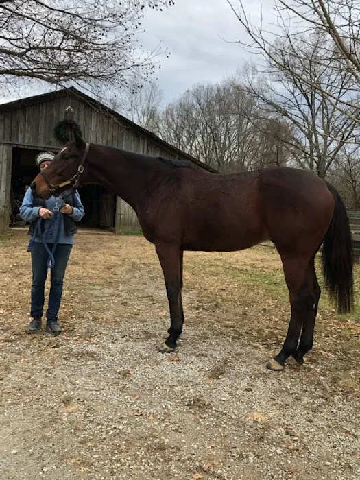 Dunlap Equine Services 7