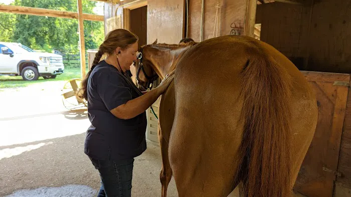 Dunlap Equine Services 1