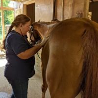 Dunlap Equine Services ico
