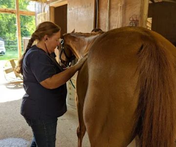 Dunlap Equine Services