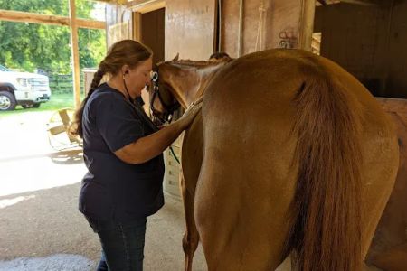 Dunlap Equine Services