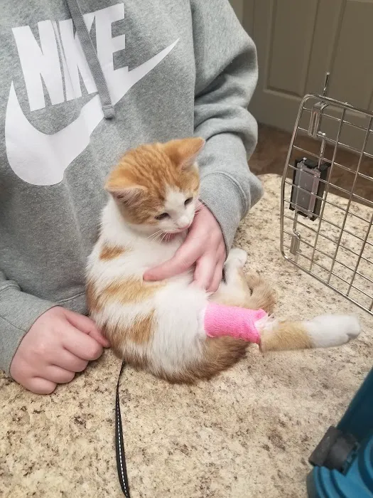 Somerville Animal Hospital 8