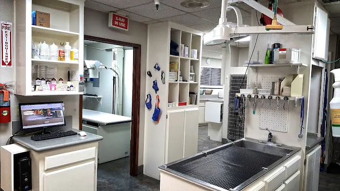 Mohnacky Animal Hospitals of Vista 6