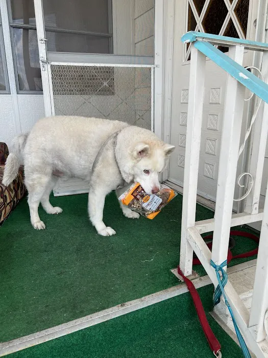 Mohnacky Animal Hospitals of Vista 3