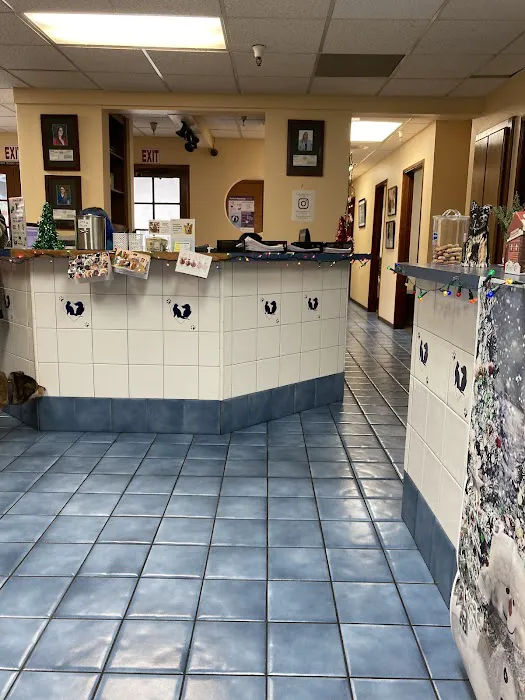 Mohnacky Animal Hospitals of Vista 2