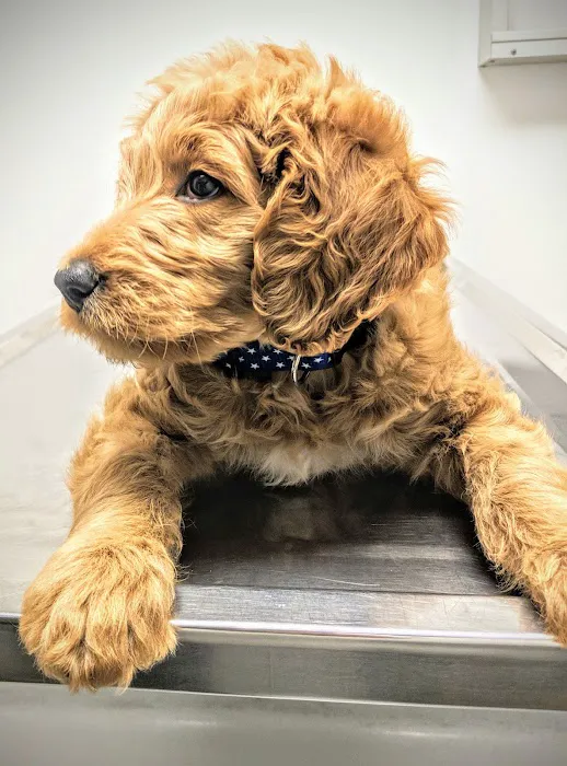Tri City Veterinary Clinic 9