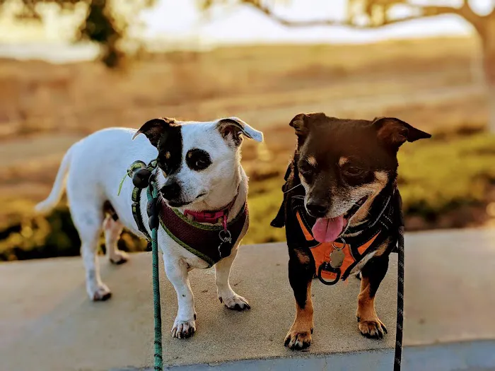 Rancho Del Oro Veterinary Hospital 3