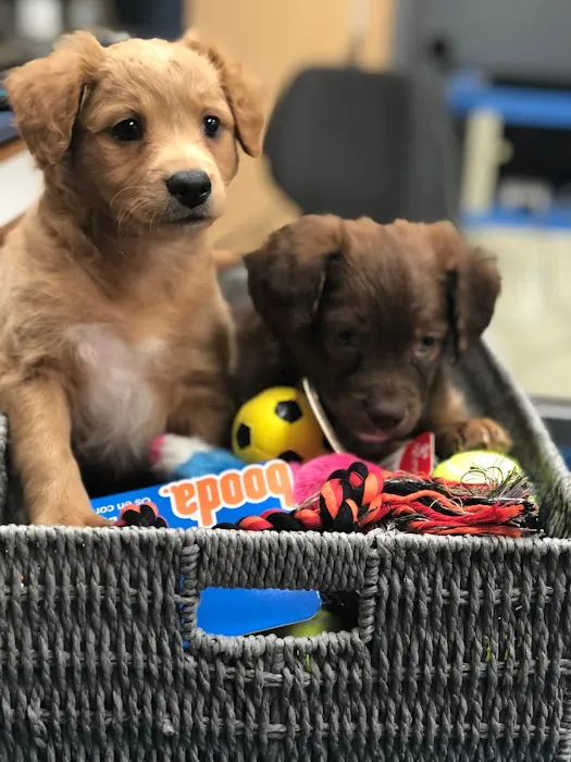 Temple Heights Animal Hospital 8