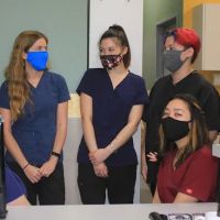 North County Cat Hospital ico