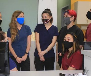 North County Cat Hospital