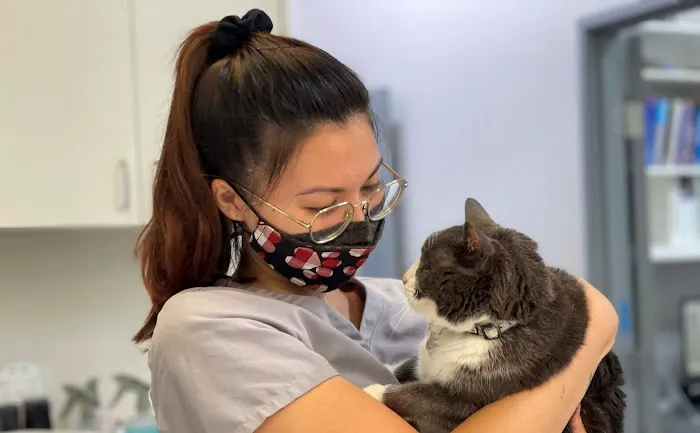 North County Cat Hospital 7