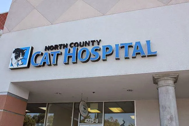 North County Cat Hospital 6
