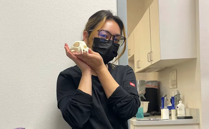 North County Cat Hospital 8