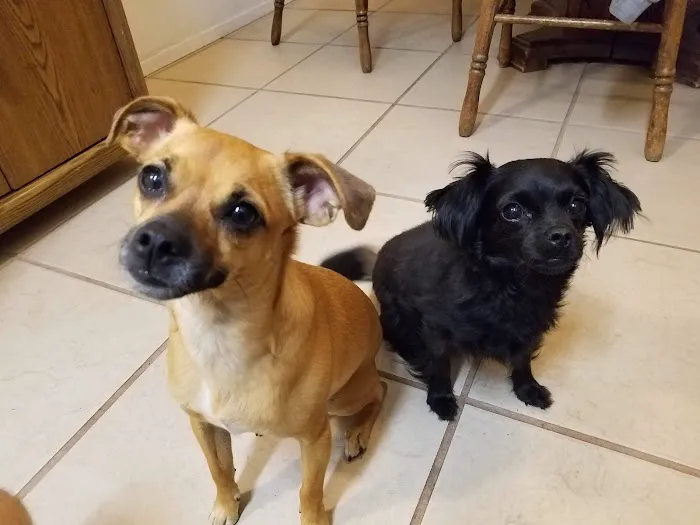 Banfield Pet Hospital 7