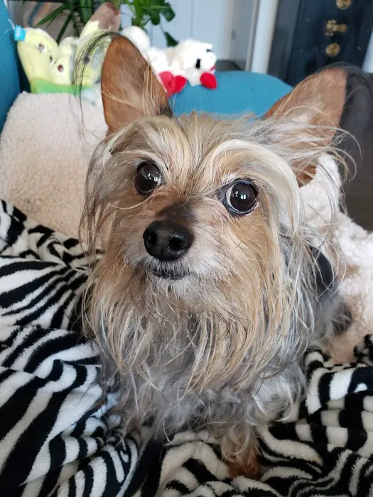 Banfield Pet Hospital 8