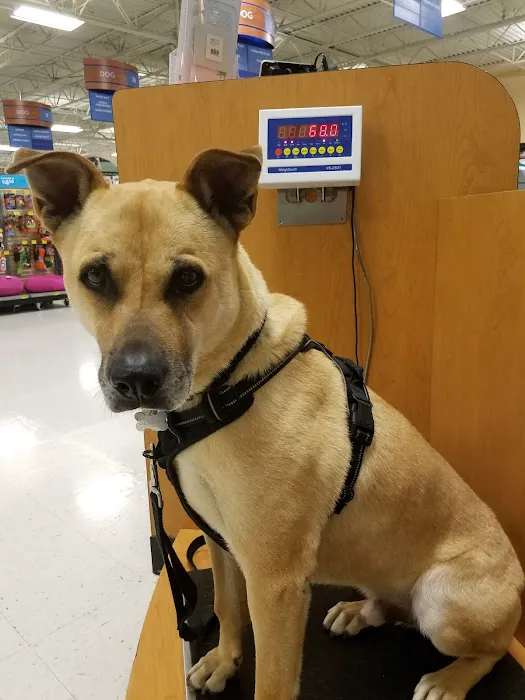 Banfield Pet Hospital 9