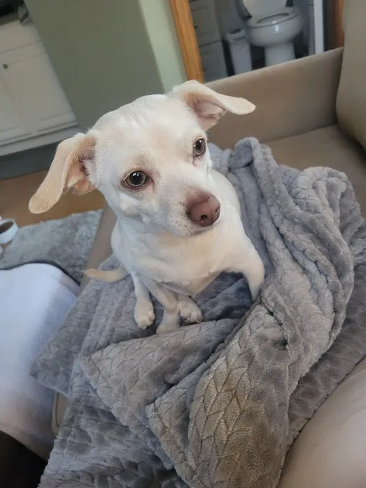 Banfield Pet Hospital 1