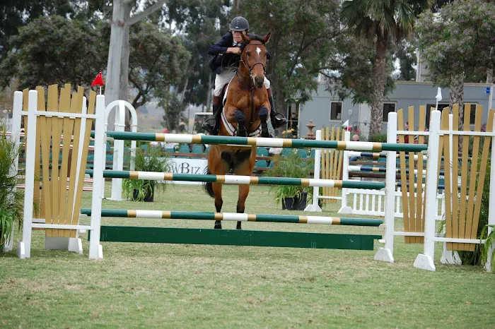 Ocean Hill Equine 7